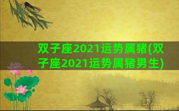 双子座2021运势属猪(双子座2021运势属猪男生)