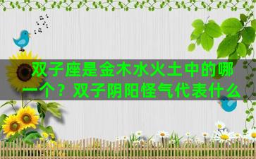 双子座是金木水火土中的哪一个？双子阴阳怪气代表什么