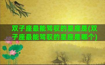 双子座最能驾驭的星座是(双子座最能驾驭的星座是哪个)