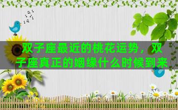 双子座最近的桃花运势，双子座真正的姻缘什么时候到来