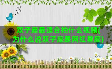 双子座最适合拍什么视频(为什么说双子座是网红星座)
