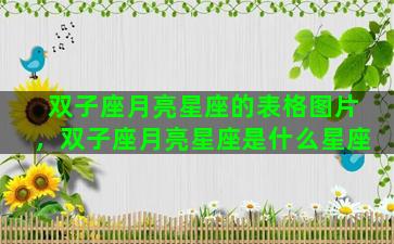 双子座月亮星座的表格图片，双子座月亮星座是什么星座