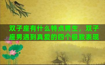 双子座有什么特点男生，双子座男遇到真爱的四个极致表现