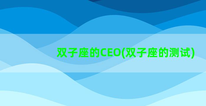 双子座的CEO(双子座的测试)