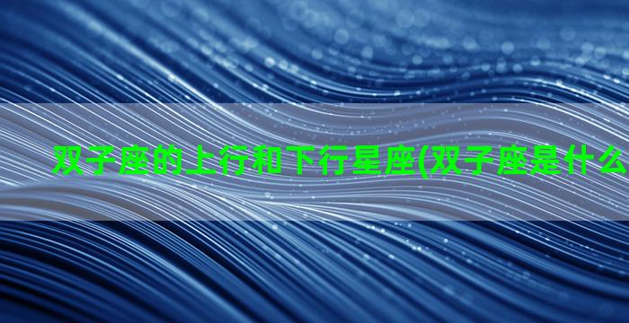 双子座的上行和下行星座(双子座是什么人格类型)