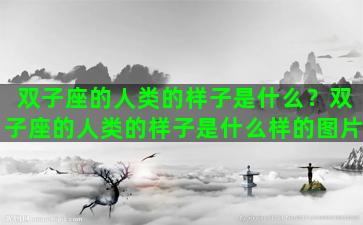 双子座的人类的样子是什么？双子座的人类的样子是什么样的图片