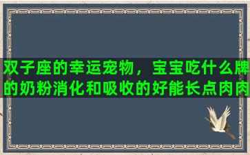 双子座的幸运宠物，宝宝吃什么牌的奶粉消化和吸收的好能长点肉肉