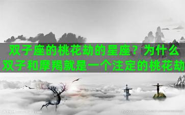 双子座的桃花劫的星座？为什么双子和摩羯就是一个注定的桃花劫