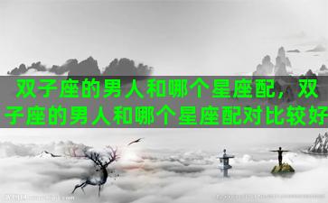 双子座的男人和哪个星座配，双子座的男人和哪个星座配对比较好