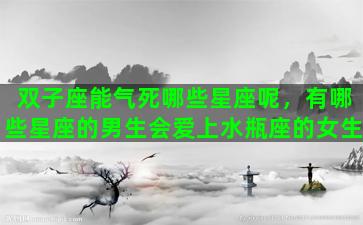 双子座能气死哪些星座呢，有哪些星座的男生会爱上水瓶座的女生