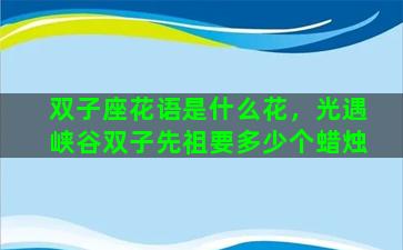 双子座花语是什么花，光遇峡谷双子先祖要多少个蜡烛