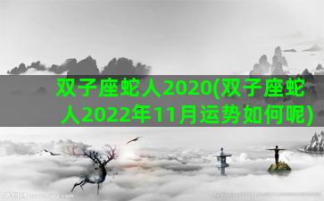 双子座蛇人2020(双子座蛇人2022年11月运势如何呢)