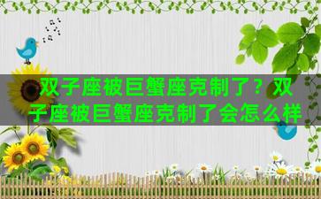 双子座被巨蟹座克制了？双子座被巨蟹座克制了会怎么样