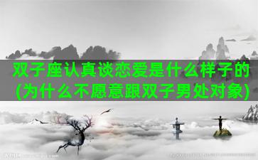 双子座认真谈恋爱是什么样子的(为什么不愿意跟双子男处对象)