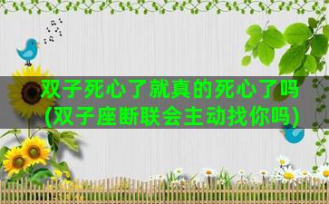 双子死心了就真的死心了吗(双子座断联会主动找你吗)