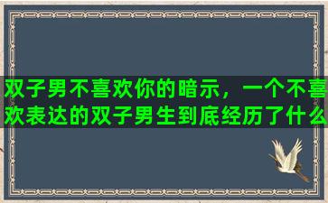 双子男不喜欢你的暗示，一个不喜欢表达的双子男生到底经历了什么