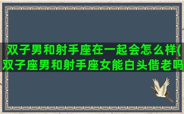 双子男和射手座在一起会怎么样(双子座男和射手座女能白头偕老吗)