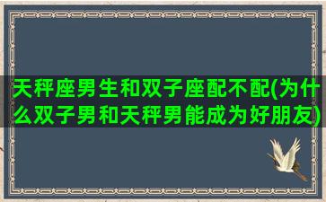 天秤座男生和双子座配不配(为什么双子男和天秤男能成为好朋友)